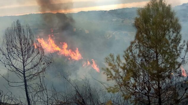 Imagen: Incendio en el camí Serrallonga en Beníver (Benissa) - Imagen de ABAI Benissa