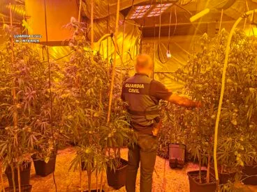 Plantación de marihuana en un exclusivo chalet de Calp