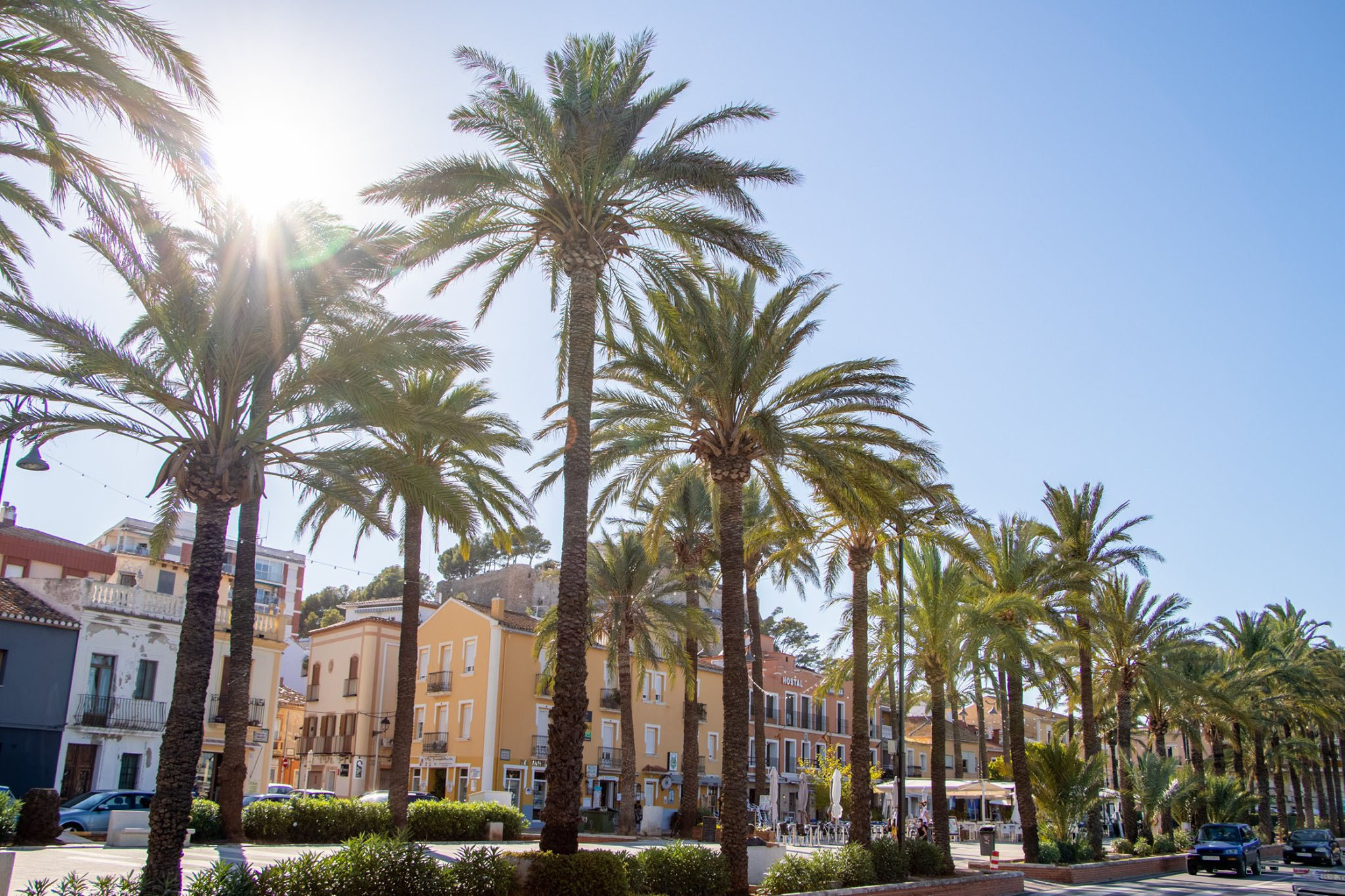 un dia de sol en la explanada cervantes de denia