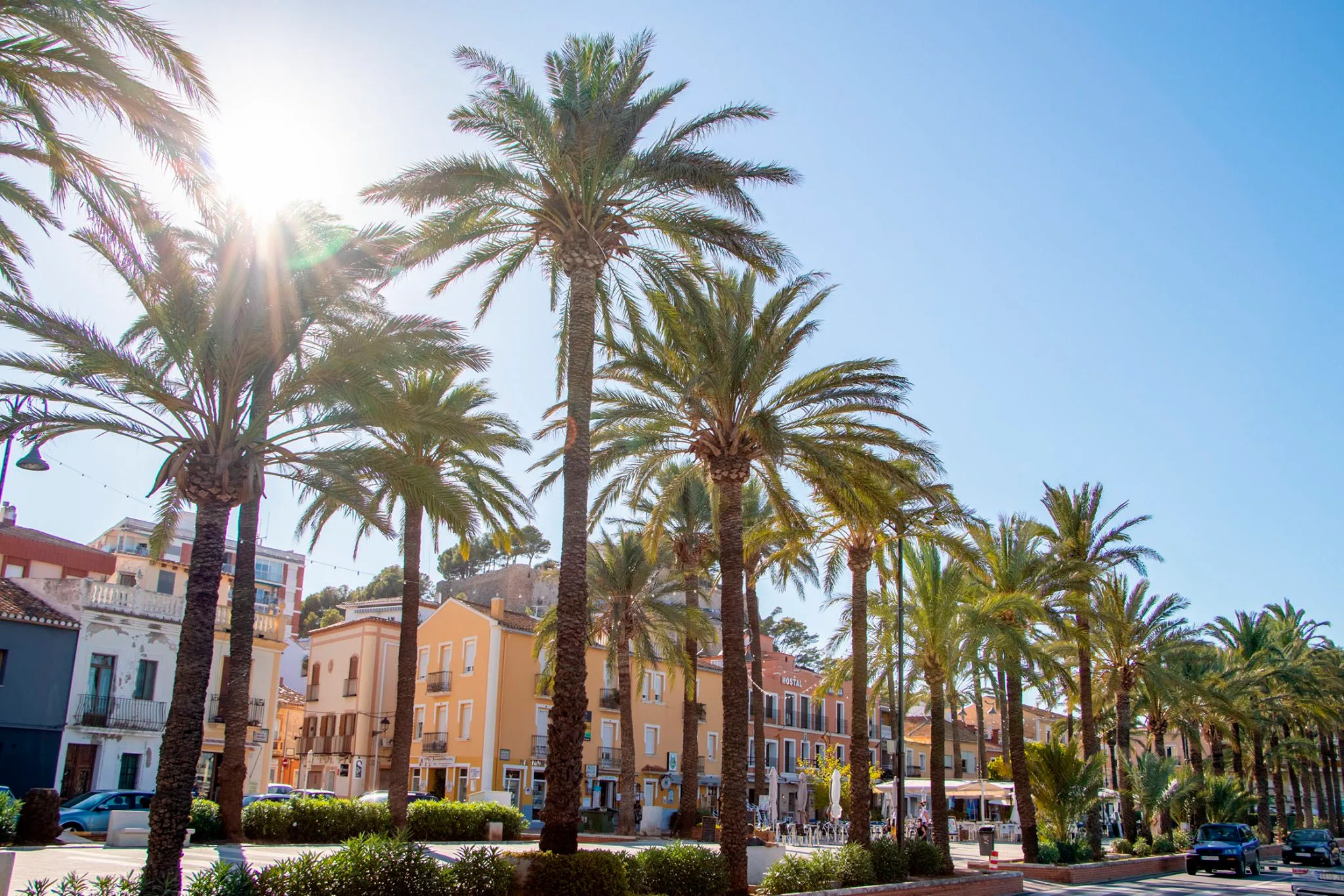 un dia de sol en la explanada cervantes de denia
