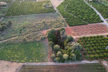 Vista del clot del Lirio entre bancales de Pedreguer