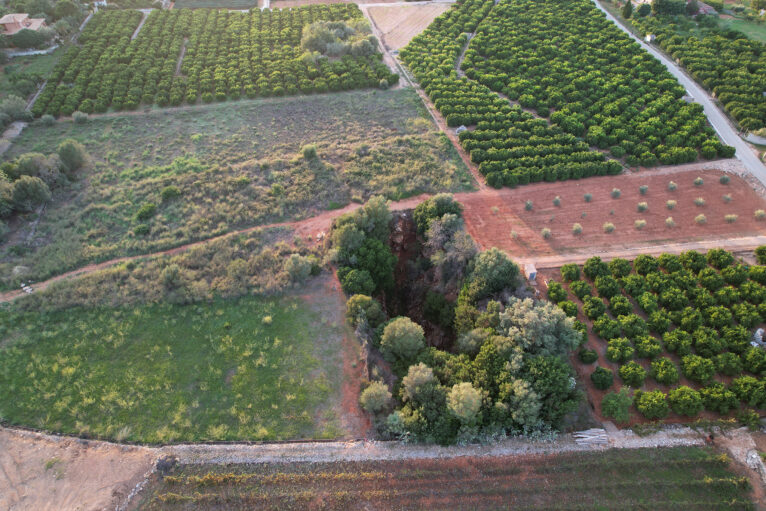 Vista del clot del Lirio entre bancales de Pedreguer