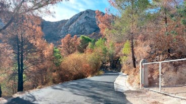 Camino agrícola de la Vall de Gallinera