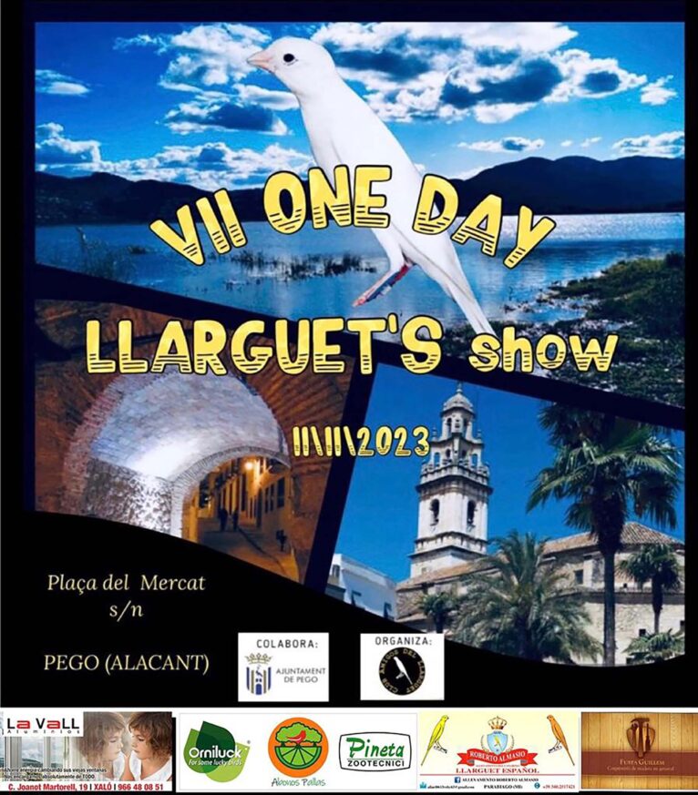 Cartel de la séptima edición del 'One Day Llarguet’s Show' en Pego
