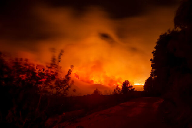 Imagen: El incendio forestal de Montitxelvo en las primeras horas