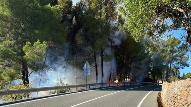 Imagen: Humo y llamas visibles en el término de Alcalalí