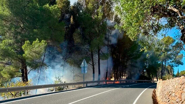 humo y llamas visibles en el termino de alcalali