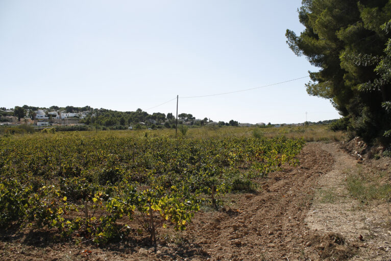 La Vall de Les Sorts de Teulada Moraira en otoño