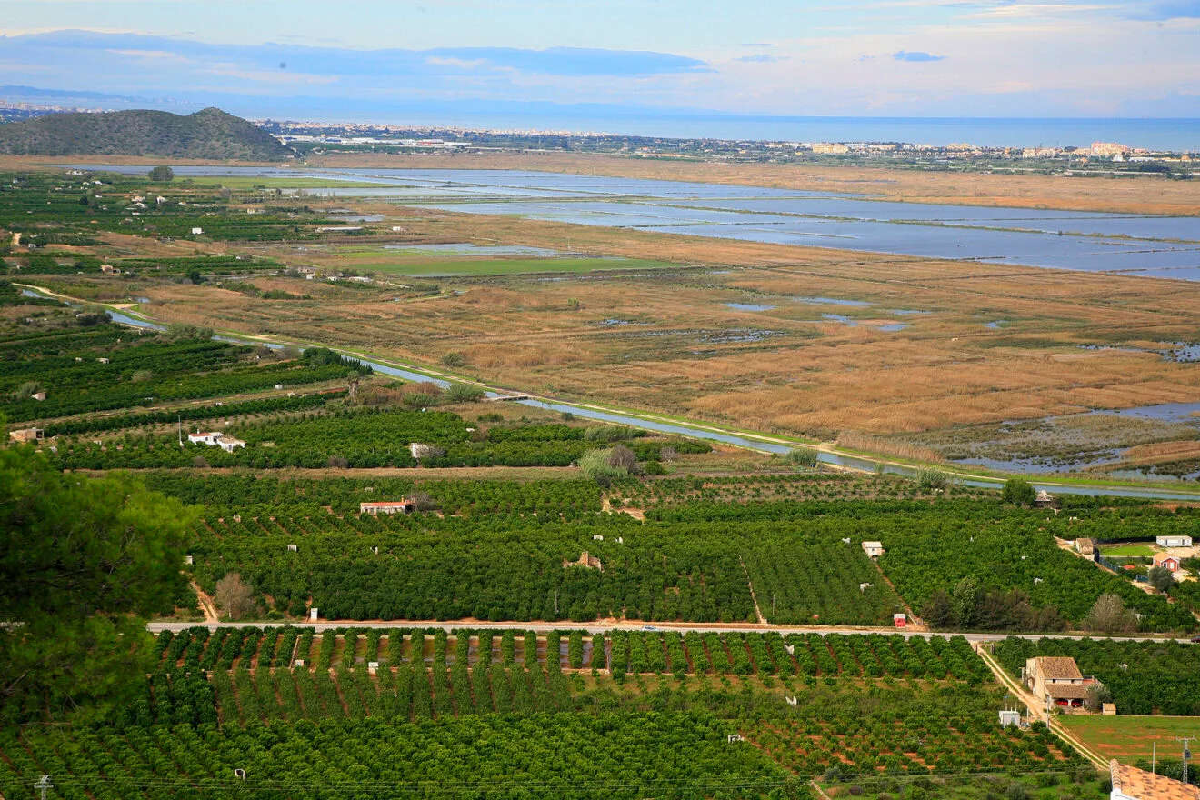 Parque natural de la Marjal Pego-Oliva
