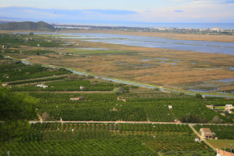 Parque natural de la Marjal Pego-Oliva