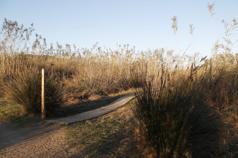 Pasarela hacia el interior de la Marjal Pego-Oliva