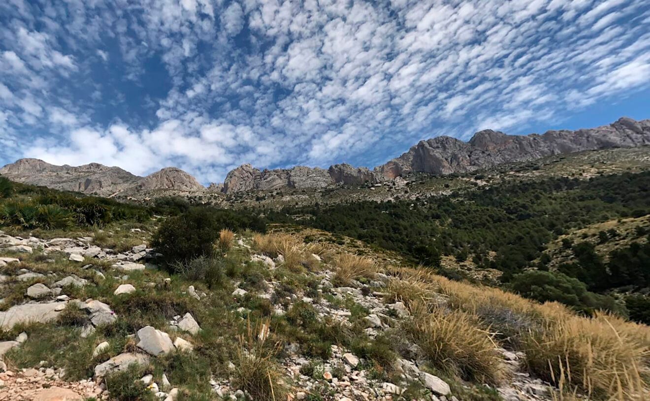 Serra de Bèrnia y Ferrer