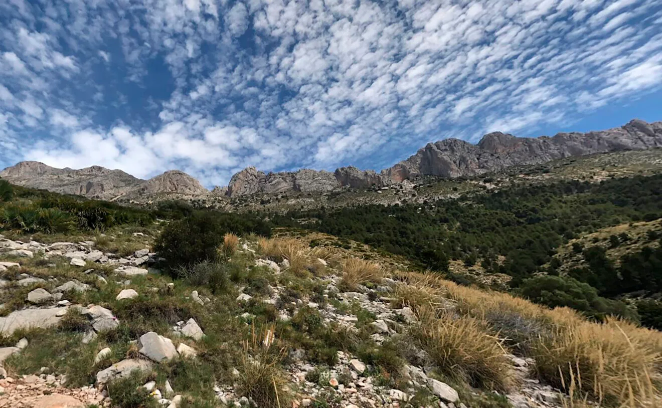 Serra de Bèrnia y Ferrer