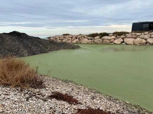 Imagen: Estado en el que se encuentra la desembocadura del río Girona