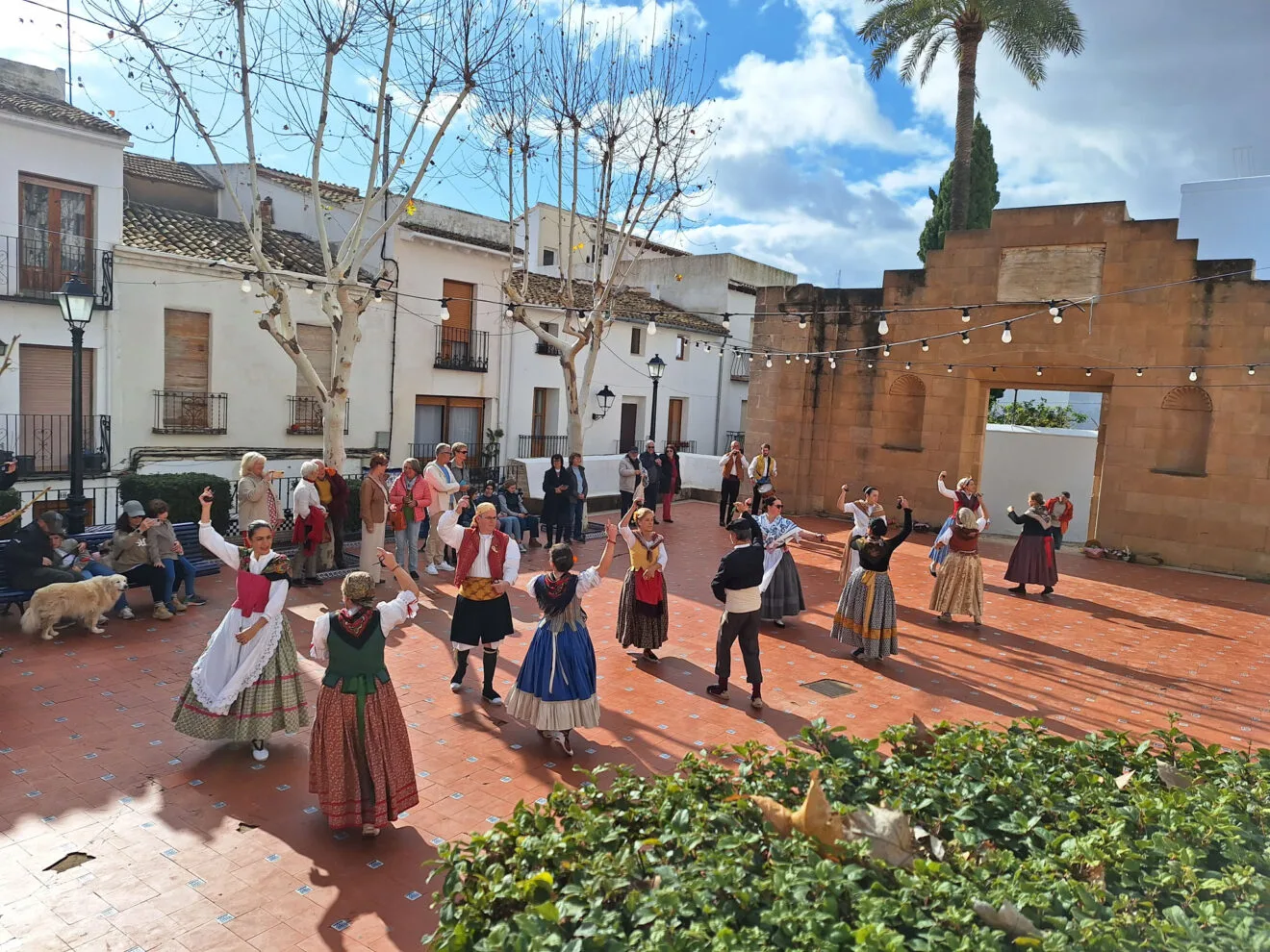 Bendición de animales por Sant Antoni en Benissa 2024 05