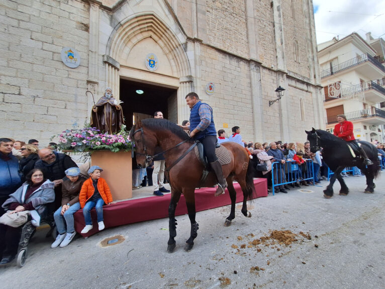 Bendición de animales por Sant Antoni en Benissa 2024 106