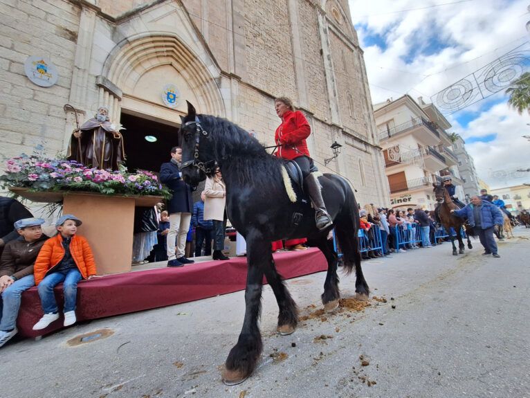 Bendición de animales por Sant Antoni en Benissa 2024 107