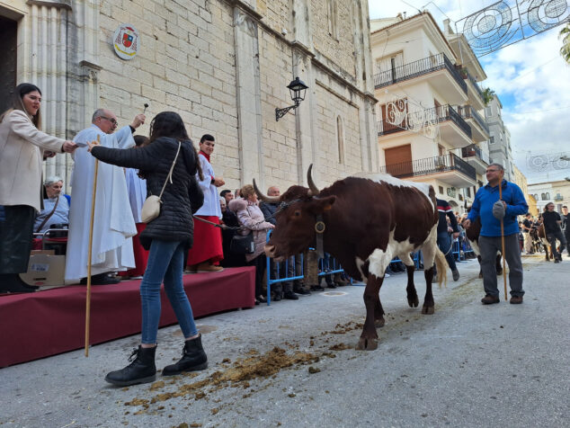 bendicion de animales por sant antoni en benissa 2024 115