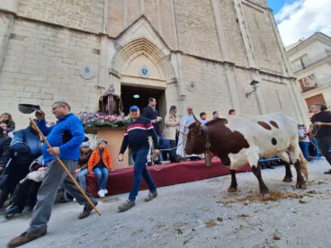 Bendición de animales por Sant Antoni en Benissa 2024 116