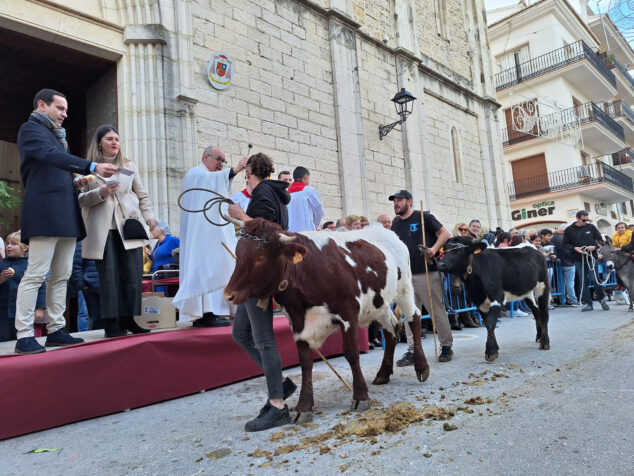 bendicion de animales por sant antoni en benissa 2024 117