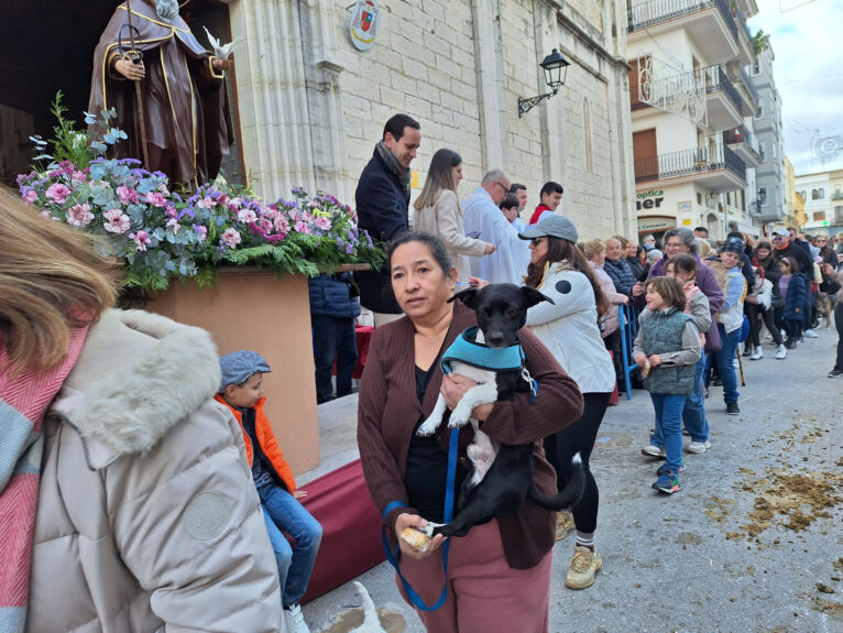 Bendición de animales por Sant Antoni en Benissa 2024 120