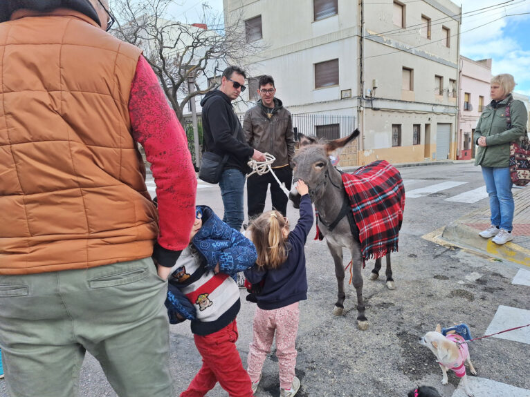 Bendición de animales por Sant Antoni en Benissa 2024 14