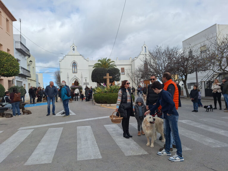 Bendición de animales por Sant Antoni en Benissa 2024 15