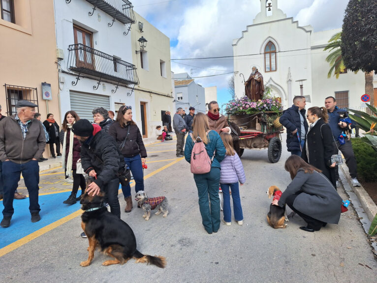 Bendición de animales por Sant Antoni en Benissa 2024 16