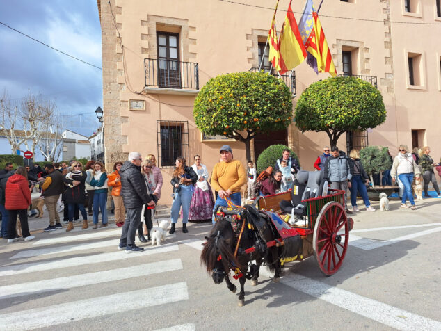 bendicion de animales por sant antoni en benissa 2024 17