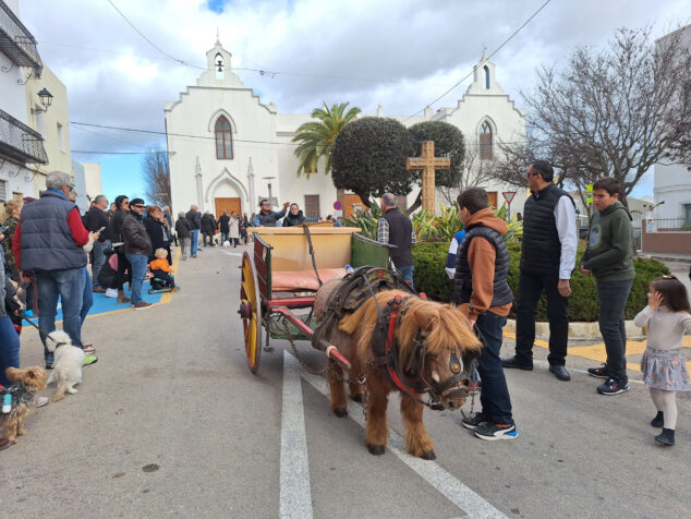 bendicion de animales por sant antoni en benissa 2024 18