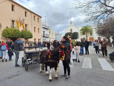 Bendición de animales por Sant Antoni en Benissa 2024 19