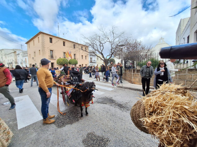 bendicion de animales por sant antoni en benissa 2024 20