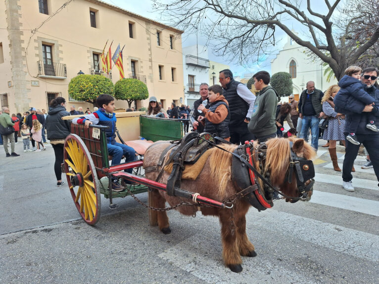 Bendición de animales por Sant Antoni en Benissa 2024 22