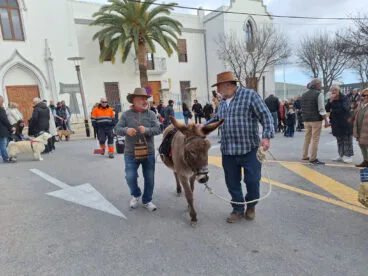 Bendición de animales por Sant Antoni en Benissa 2024 23