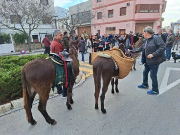 Bendición de animales por Sant Antoni en Benissa 2024 24