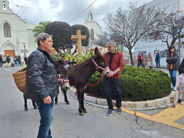 bendicion de animales por sant antoni en benissa 2024 26