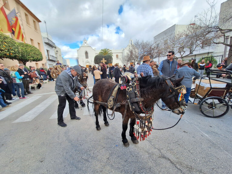 Bendición de animales por Sant Antoni en Benissa 2024 34