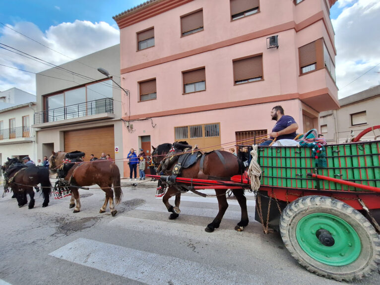 Bendición de animales por Sant Antoni en Benissa 2024 36