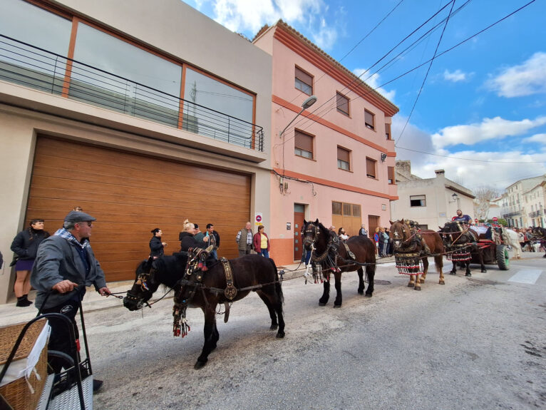 Bendición de animales por Sant Antoni en Benissa 2024 37