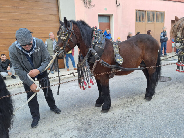 bendicion de animales por sant antoni en benissa 2024 38