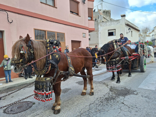 bendicion de animales por sant antoni en benissa 2024 39