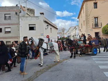 Bendición de animales por Sant Antoni en Benissa 2024 40