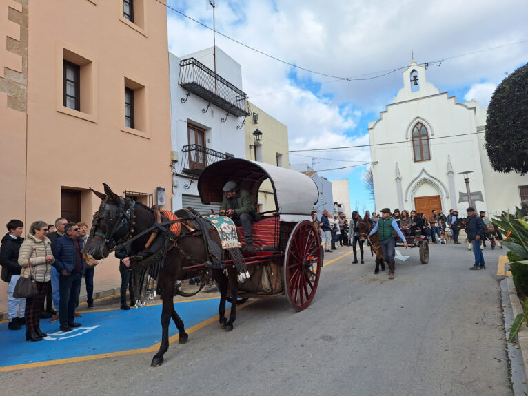 Bendición de animales por Sant Antoni en Benissa 2024 41