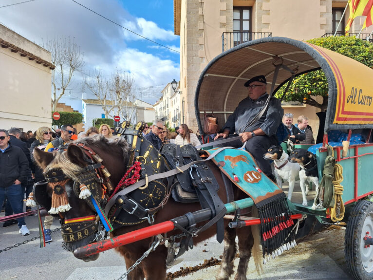 Bendición de animales por Sant Antoni en Benissa 2024 43