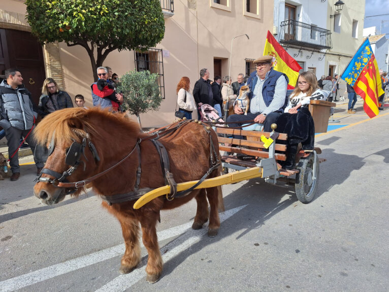 Bendición de animales por Sant Antoni en Benissa 2024 44