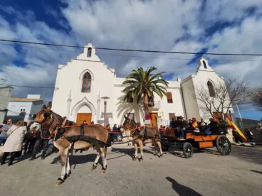 Bendición de animales por Sant Antoni en Benissa 2024 45