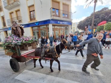 Bendición de animales por Sant Antoni en Benissa 2024 52