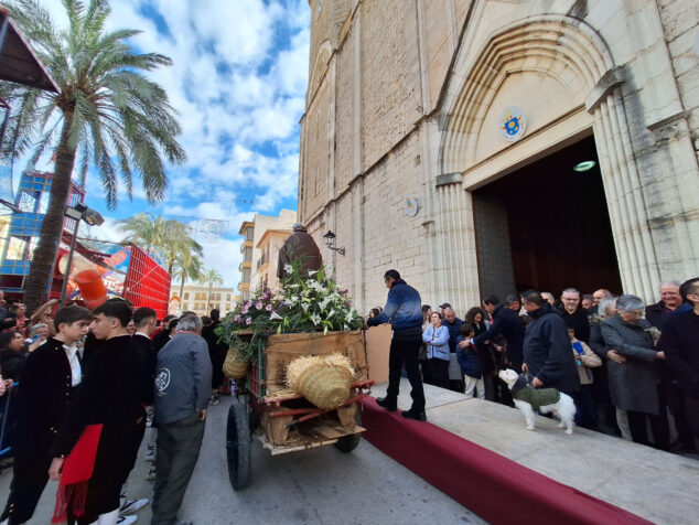 bendicion de animales por sant antoni en benissa 2024 60