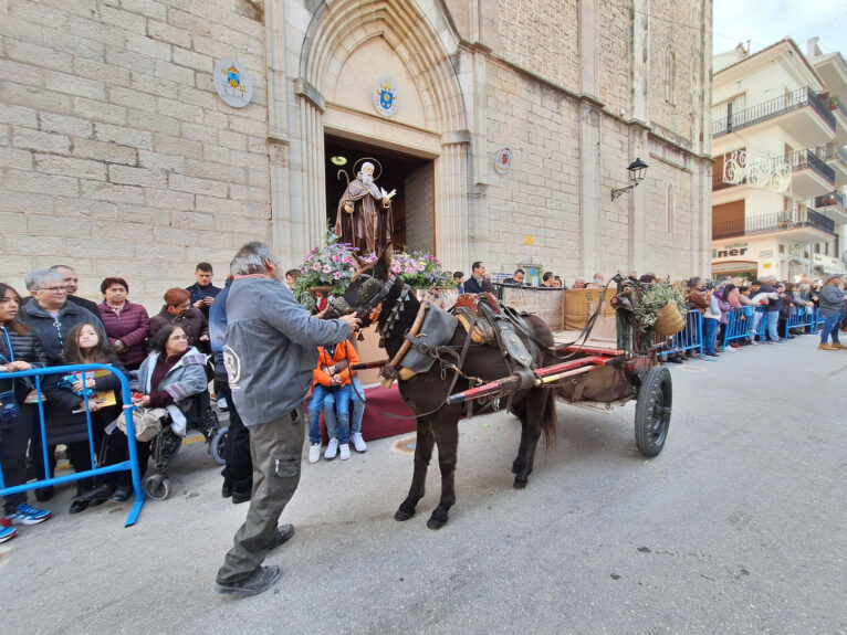 Bendición de animales por Sant Antoni en Benissa 2024 64