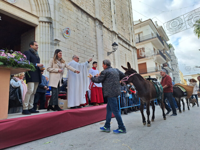 Bendición de animales por Sant Antoni en Benissa 2024 72